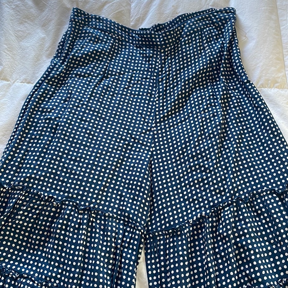 Blue and white traditional Indian Pants